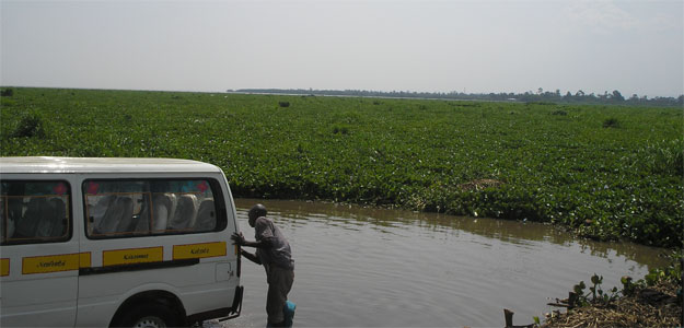 The Equatorial Press Lead Story